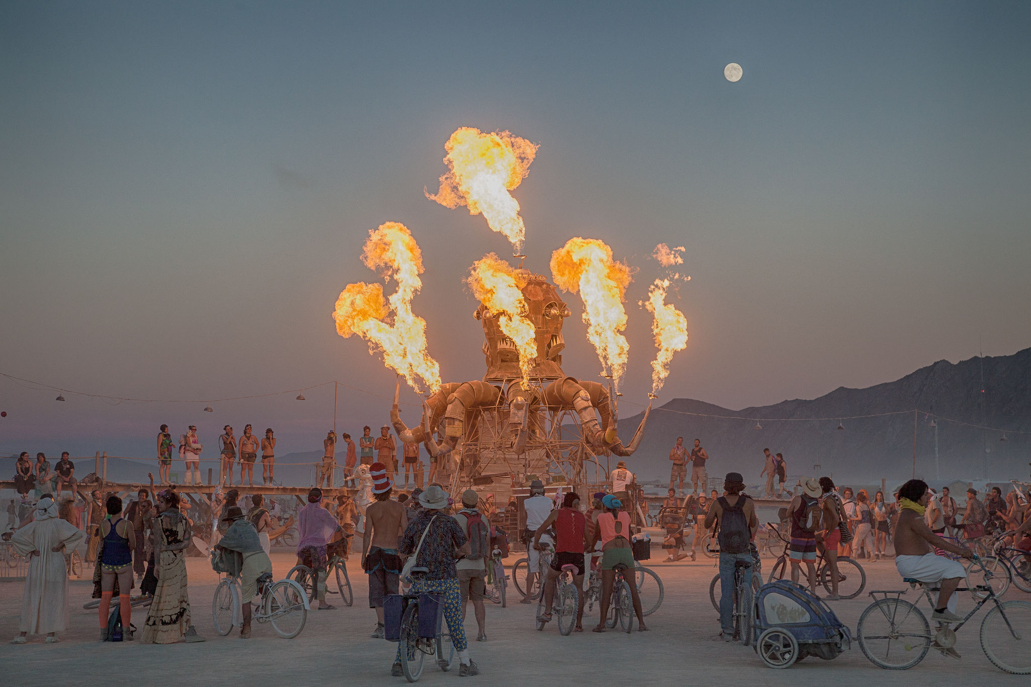 Climate Change Activists Took Over: Chaos At Burning Man